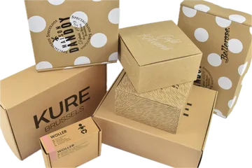 Entrega urgente Cajas en Zwijnaarde BE